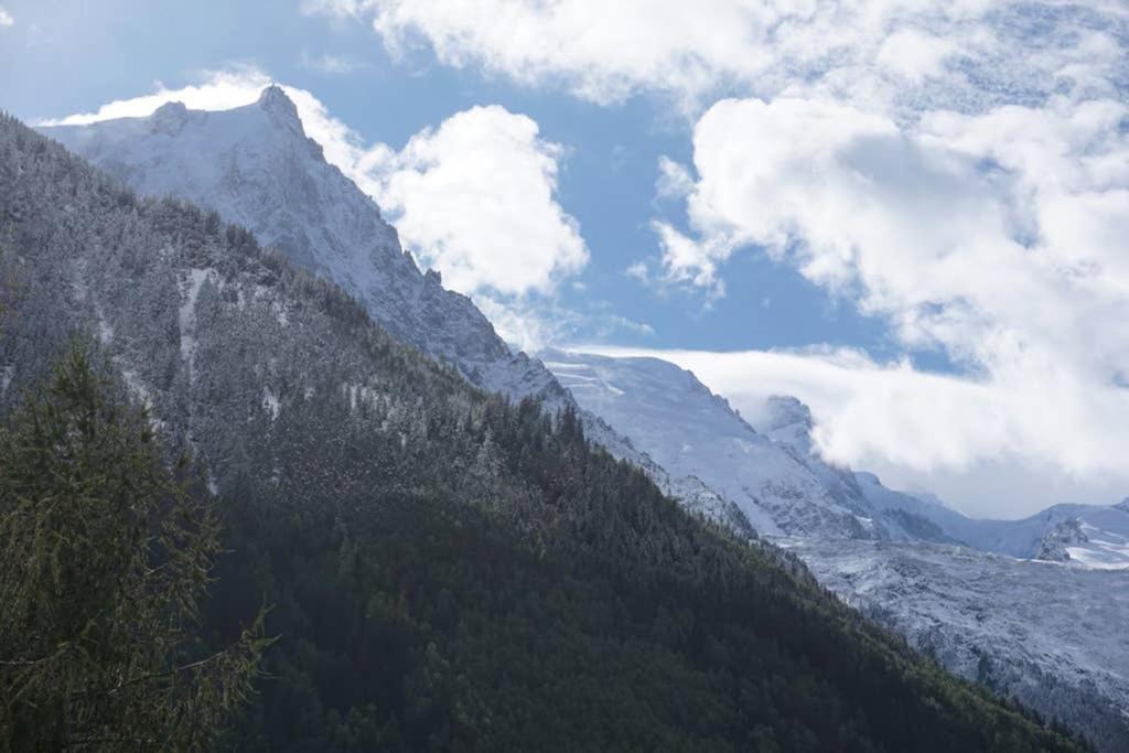 Studio Face Au Mont-Blanc Lägenhet Chamonix Exteriör bild